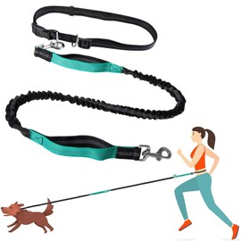 Hands Free Dog Lead for Dog Walking Running Jogging, Retractable, Dual Handle, Shock Absorber, Soft Foam Padding, Adjustable Wasit Leash