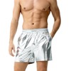Arjen Kroos Men's Metallic Shiny Shorts Sexy Sparkly Rave Hot
