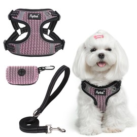 PUPTECK Dog Harness and Leash Set Small Sized, Step in No Pull Adjustable Puppy Cat Harness Reflective Pet Vest