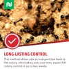 Dominant 1% Liquid Ant Bait, Borax-Based Formula, Attracts and eliminates