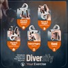 PORTENTUM 5-60 kg Grip Strengthener Exerciser – Adjustable Forearm Strengthener