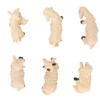 6Pcs Miniature Sheep Figurine Durable Resin Hand Painted UV Protection