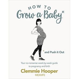 How to Grow a Baby and Push It Out: A guide to pregnancy and birth straight from the midwife's mouth