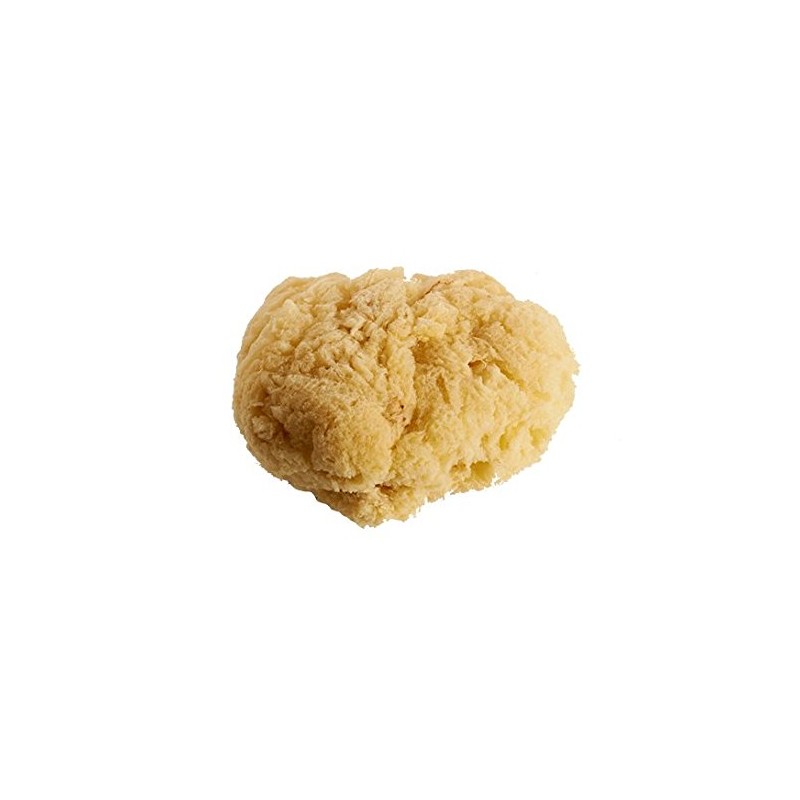 NATURAL SEA SPONGES Natural Sea Sponge for Bath and Shower