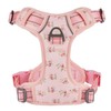 Petiry Reflective No Pull Dog Harness,Spring Scent Inspired Floral Dog