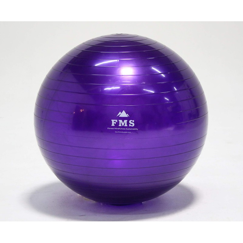 FIMISU 65cm Fitness Stability Ball • Yoga Balance Ball •