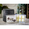 Vanilla Maximum Scented Wax Melts- 1 Pack- 2 oz- 6