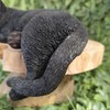 Vivid Arts - Laying Black Cat - XRL-DC61-D