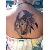 Horse Tattoos Temporary Tattoos Fake Tattoos Horse 3