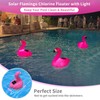 Uekars Solar Pool Chlorine Floater, 7 inch Flamingo Chlorines Floater