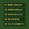 센트휴 브로멜라인 퀘르세틴 듀오정, 60정, 1개 Centhu Bromelain Quercetin Duo