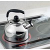 Kakusee Fuefuki Kettle, Tea Kettle, Full Water 0.6 gal (2.2