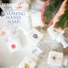 Fernanda Fragrance Foaming Hand Soap Primeiro Amor 200ml (x1)