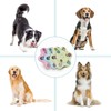 Zoyiancy Interactive Dog Puzzle Toys, Pet Puzzle Slow Feeder, IQ