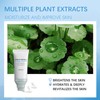 Madagascar Centella Sunscreen, Fit Sun Serum-Cica Wather, Lightweight Spf 50+
