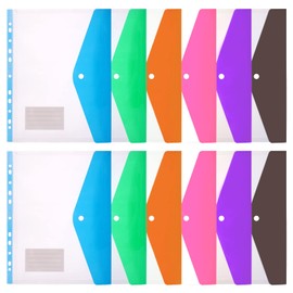 Plastic Wallets A4 Punched Pockets – 12PCS Expandable File Folders Assorted Colors, Heavy Duty Transparent a4 Documents Wallets with Label Pocket for Ring Binder, Home, Office and School Files