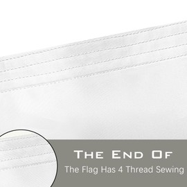 Embroidery California Flag 3x5 Outdoor Heavy Duty 340D Nylon California State Flag Vivid Color Anti-Fading with 2 Brass Grommets for Outdoor Indoor Wall