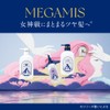 Megamis Shampoo and Treatment Set Refill, 12.2 fl oz (360