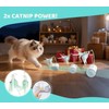 ZeLing HTL Remote Control Cat Toy with Auto Mode -