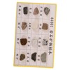 KICHOUSE Geology Classroom Essential 12 Piece Mineral Rock Specimen Kit