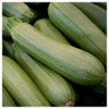Everwilde Farms - 1 Lb Gray Zucchini Summer Squash Seeds