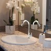 Cold Water Faucet Only, High Arc Single Handle One Hole