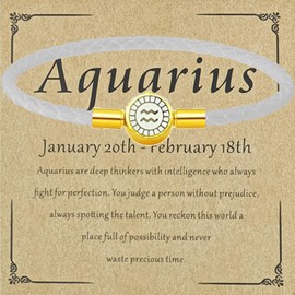 NORLSO Zodiac Signs Spirit Bracelet for Women Zodiac Guardian Bracelet 12 Constellation Bracelet 12 Color Leather Bracelets for Women Birthday Jewelry Gifts (Aquarius)