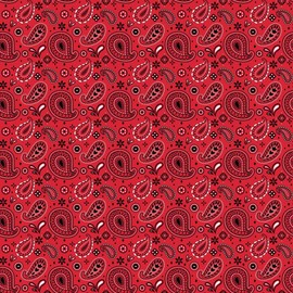 Cricut Infusible Ink Transfer Sheets -4 Sheets 12" x 12" - Western Pattern - For Cricut EasyPress, Maker, Explore Air 2