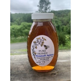 Ronstadt Apiary Pennsylvania Mountains Raw Goldenrod Honey 1lb Glass Jar