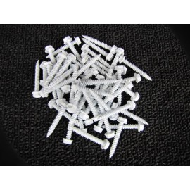 Unbranded Mobile Home RV Parts  50ct #8 x 1.25" Hex Head White Screws Door, Window & Vent