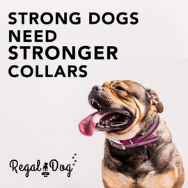 Regal Dog Products Small Pink Heavy Duty Reflective Dog Collar with Durable Metal Buckle and D Ring Adjustable, Chew Proof & Waterproof Center Ring | Strong Small Dog Collar