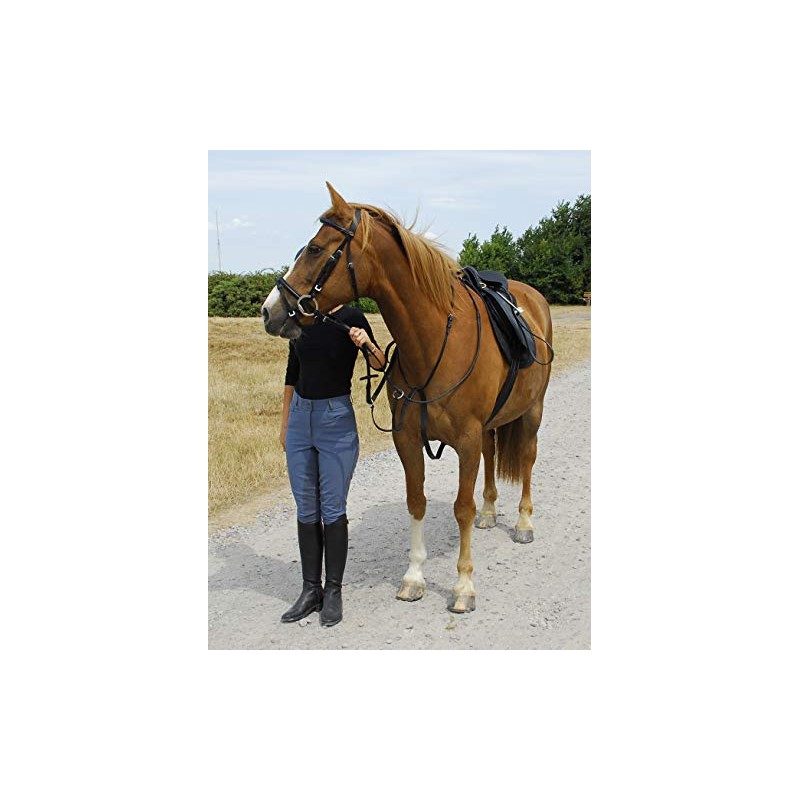 Windsor Equestrian Leather Running Martingale (Pony, Black)