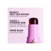 Rubor Jelly Cool Tinted Blush Stick - La Colors