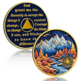 YRCKUDZKG Autumn Mountain 2 Year Sobriety Coin - Serenity & Growth AA Coin, Addiction Recovery Medallion with Token Capsule, Sobriety Gifts for Men Women