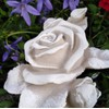 XL Rose with Stem Rose Flower Also Grave Decoration Grave