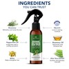 Botanic Hearth Advanced Rosemary Water Spray For Hair Growth With
