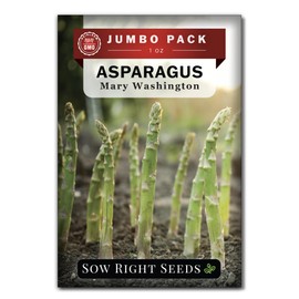 Sow Right Seeds - Bulk Mary Washington Asparagus Seeds for Planting - 1 Ounce, 1600 Seeds - Non-GMO HeirloomJumbo Pack with Instructions to Plant a Home Vegetable Garden - Grow Asparagus for Years