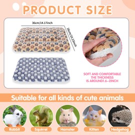 2 Pcs Small Animal Plush Bed Mat, Guinea Pig Warm Bed Bunny Bed Fleece Blanket Washable Guinea Pig Bed Fluffy Guinea Pig Bedding Mat Sleeping Pad for Bunny Hamster Guinea Pig Ferret Squirrel