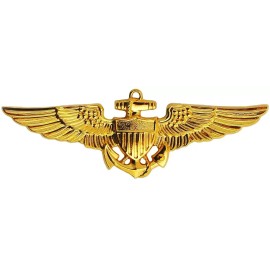 USN US Navy Aviation Wing Badge Naval Aviator Pilot Pins Insignia Gold / Antique