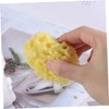 Housoutil 1 Pc esponja de algas esponja de mar para