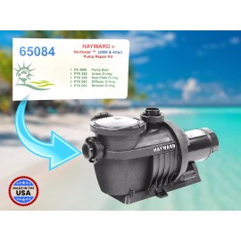 LIBERTY POOL PRODUCTS 65084 -Fits  Hayward ® Northstar ™ Pool Pump Seal & O'ring Replacement Kit