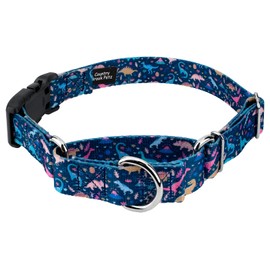Country Brook Petz - Dinosaurs Martingale Dog Collar with Deluxe Buckle - Critter Corner Collection Featuring Creature Themed Designs (1 Inch, Medium)
