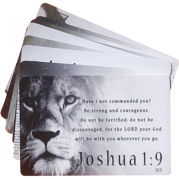 Men’s Scripture Cards (10-Pack), Inspirational Memorization Bible Verse Cards of Encouragement (NIV)