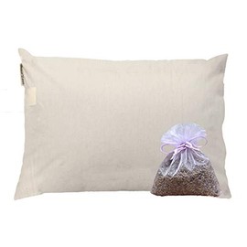 Beans72 Organic Aromatherapy Buckwheat Pillow - Queen Size (20 inches x 30 inches)