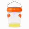 Solar LED Wasp & Fruit Fly Trap – Reusable Hanging