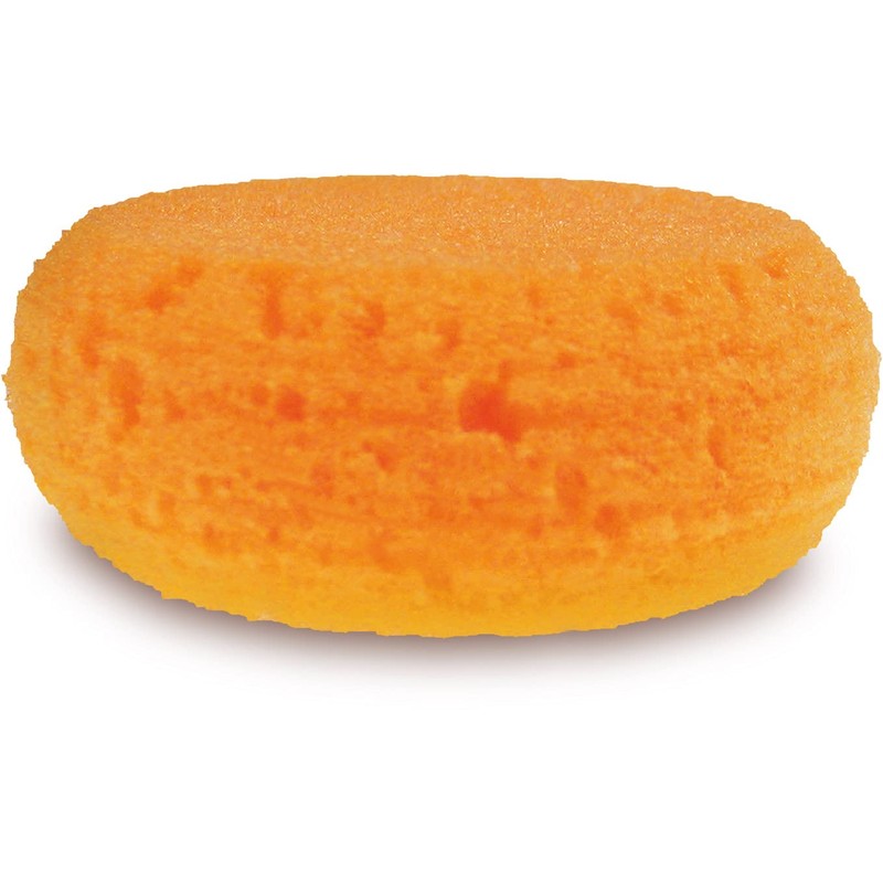 Paint Brush / Sponge