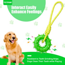 YXYANI Durable Dog Chew Toy – Tough Rubber and Rope Tug Toy with Squeaker, Interactive Training and Fetch Toy for Aggressive Chewers, Medium and Large Dogs, Heavy Duty Tug-of-War (Round Ball)