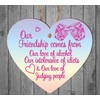 Pixie's Gifts Humorous Friendship Wooden Heart Plaque - Unique Gift