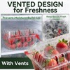 Qinyoung 100 Pack Berry Containers 1 Pound Plastic Fruit Containers
