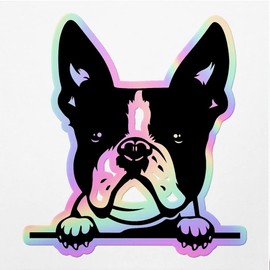 Holographic Decal Stickers of Boston Terrier Premium Waterproof Vinyl Decal Stickers for Laptop Phone Accessory Helmet Car Window Mug Tuber Cup Door Wall Decoration ANDVER3f93591HO